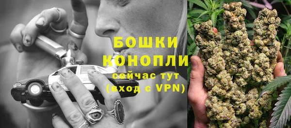 твердый Верхний Тагил