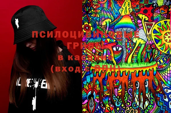 твердый Верхний Тагил