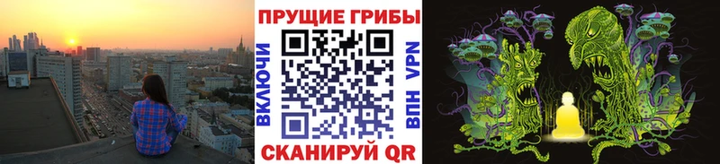 Галлюциногенные грибы Psilocybe  Вуктыл 
